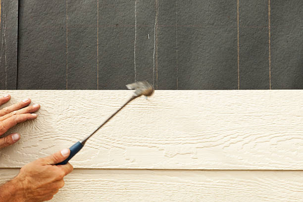 Best Brick Veneer Siding  in Sonoma State University, CA